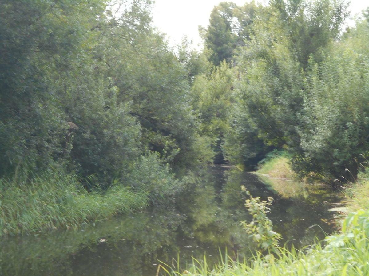 Fewo Fleckeby An Der Schlei Apartman Kültér fotó